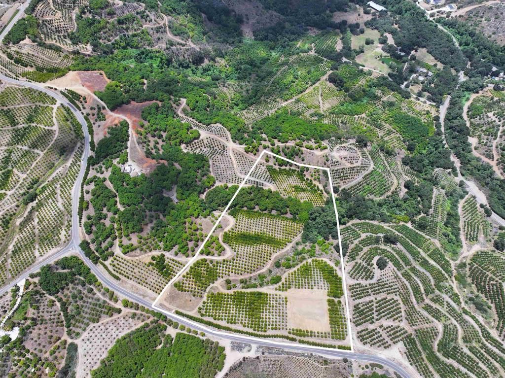 45481 Camaron Road, Temecula, CA 92590 — photo 4