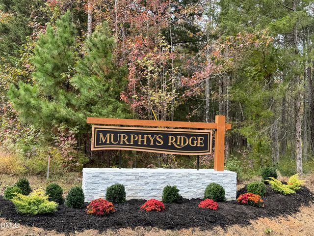 Lot 3 Poppy Mallow Lane, Stem, NC 27581