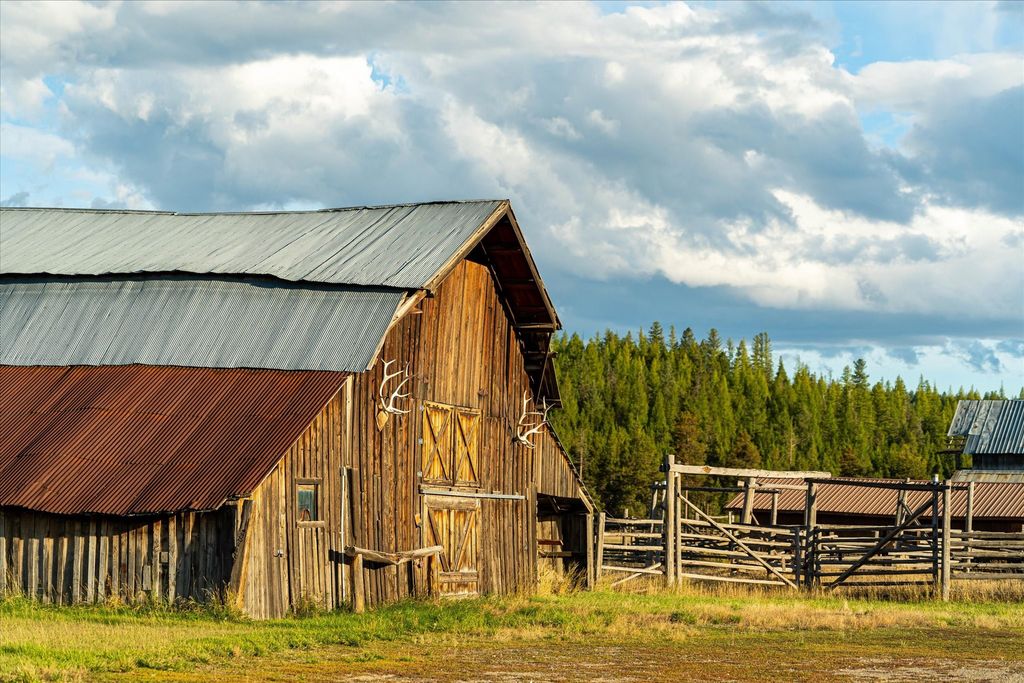 200 Hubbart Dam Road, Marion, MT 59925 photo 135