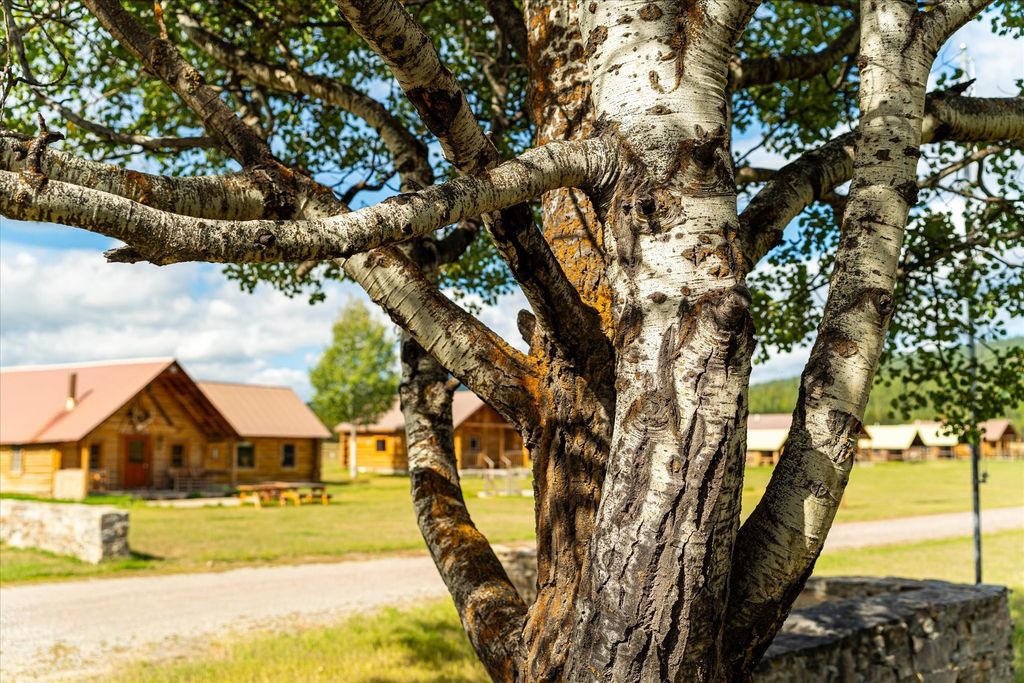 200 Hubbart Dam Road, Marion, MT 59925 photo 96