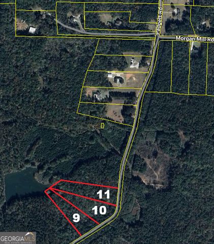 0 Padgett Road LOT 9 FAYETTE PADGETT 14, Senoia, GA 30276