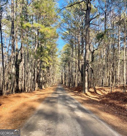 0 Padgett Road LOT 9 FAYETTE PADGETT 14, Senoia, GA 30276