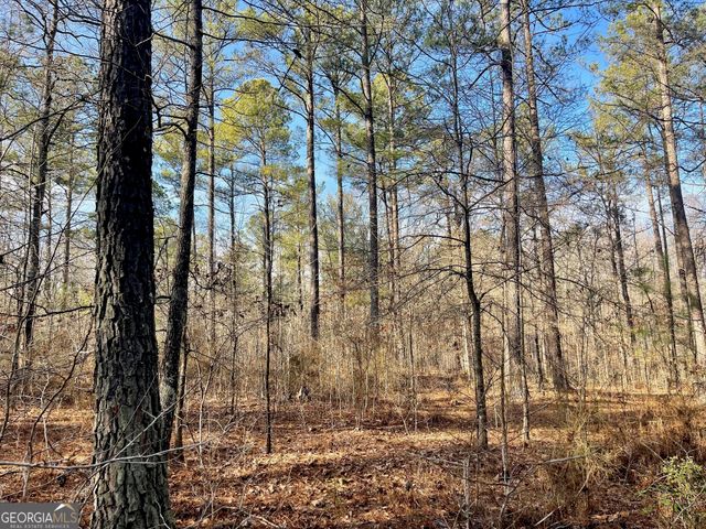 0 Padgett Road LOT 9 FAYETTE PADGETT 14, Senoia, GA 30276