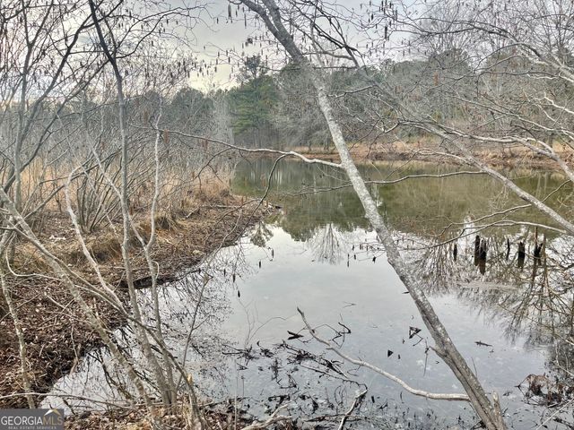 0 Padgett Road LOT 9 FAYETTE PADGETT 14, Senoia, GA 30276