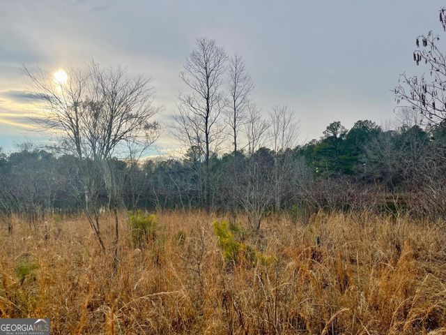 0 Padgett Road LOT 9 FAYETTE PADGETT 14, Senoia, GA 30276