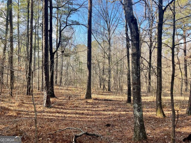 0 Padgett Road LOT 9 FAYETTE PADGETT 14, Senoia, GA 30276
