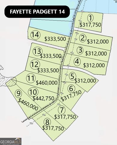 0 Padgett Road LOT 9 FAYETTE PADGETT 14, Senoia, GA 30276