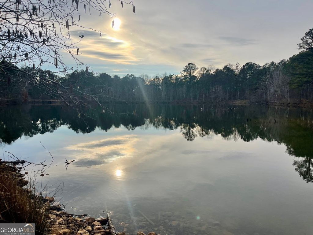 0 Padgett Road LOT 9 FAYETTE PADGETT 14, Senoia, GA 30276