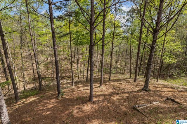 5628 RIDGEVIEW DRIVE, Trussville, AL 35173
