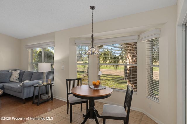 18531 Bent Pine Drive, Hudson, FL 34667