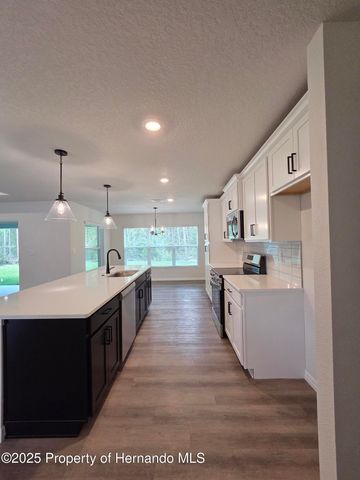 54 Village Center Drive, Homosassa, FL 34446