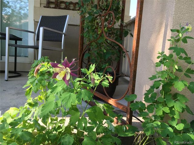 2519 Greensborough Dr, Highlands Ranch, CO 80129