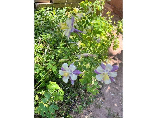 2519 Greensborough Dr, Highlands Ranch, CO 80129