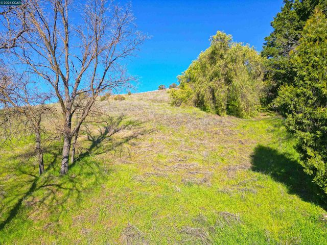 2590 Caballo Ranchero Dr, Diablo, CA 94528