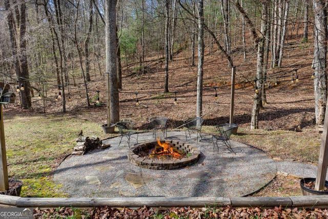 166 Dallas Lane, Blue Ridge, GA 30513