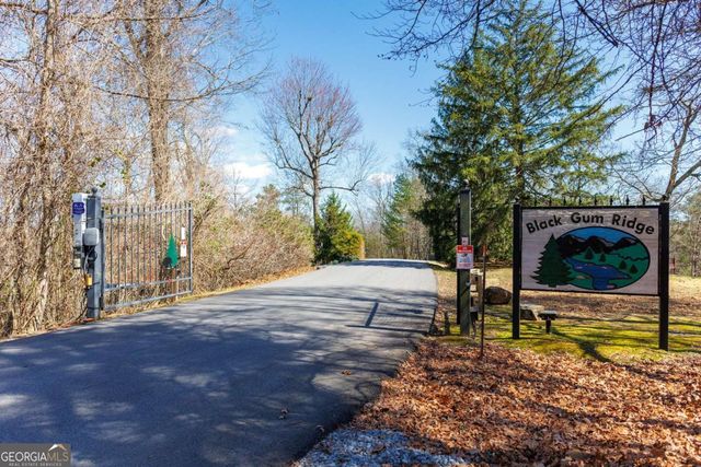 166 Dallas Lane, Blue Ridge, GA 30513