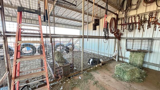 7418 E County Rd 93, Midland, TX 79706