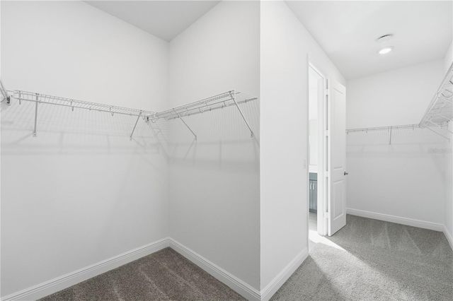 3052 WATER CLOVER COURT, Apopka, FL 32712