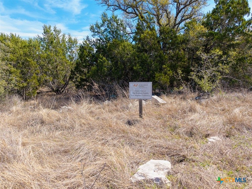 Image 12 of property listing at 1412 powder ridge rd, New Braunfels, TX 78132