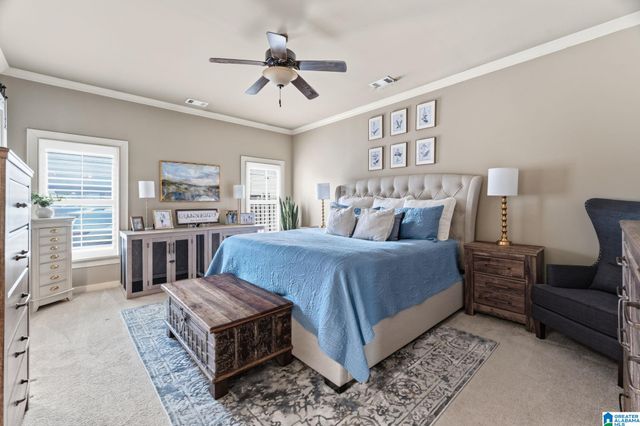 3905 JAMES HILL CIRCLE, Hoover, AL 35226