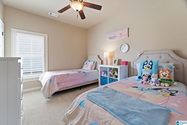 3905 JAMES HILL CIRCLE, Hoover, AL 35226