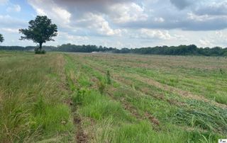 0 MITCHINER ROAD, Rayville, LA 71269