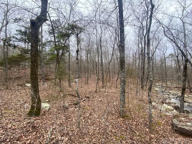 Lot 76 Mustang Drive, Clinton, AR 72031