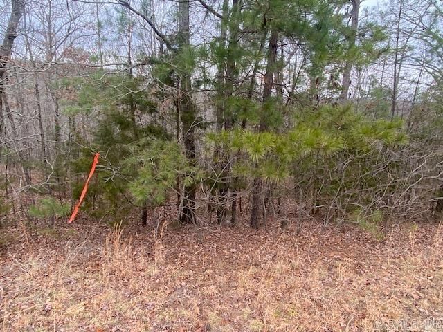 Lot 76 Mustang Drive, Clinton, AR 72031