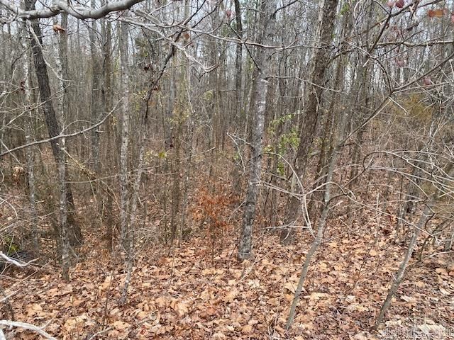 Lot 76 Mustang Drive, Clinton, AR 72031