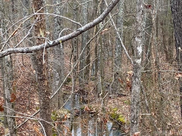 Lot 76 Mustang Drive, Clinton, AR 72031