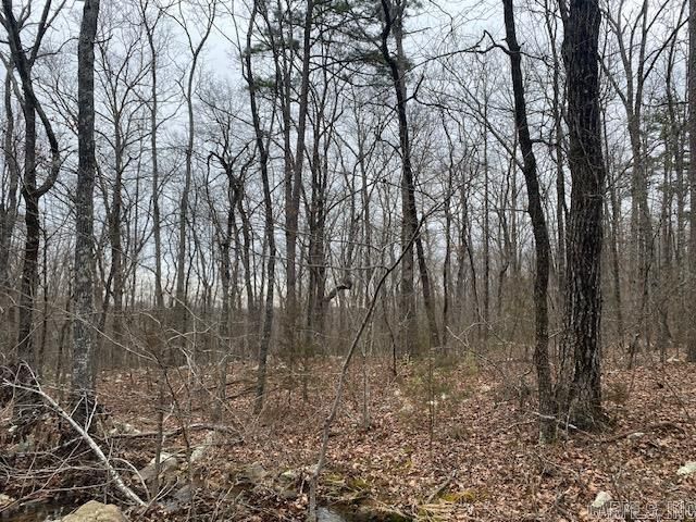 Lot 76 Mustang Drive, Clinton, AR 72031