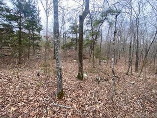 Lot 76 Mustang Drive, Clinton, AR 72031
