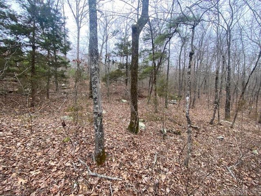 Lot 76 Mustang Drive, Clinton, AR 72031