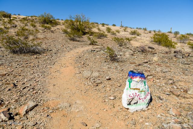 11225 S INDIAN WELLS Drive, Goodyear, AZ 85338