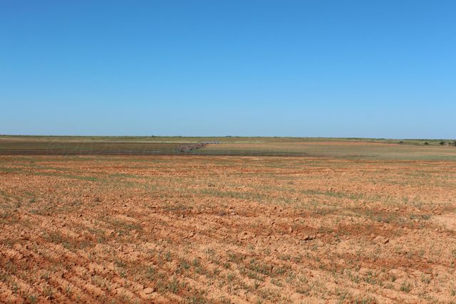 325 acres Childress, Amarillo, TX 79201