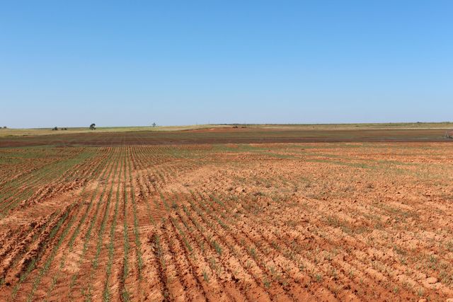 325 acres Childress, Amarillo, TX 79201