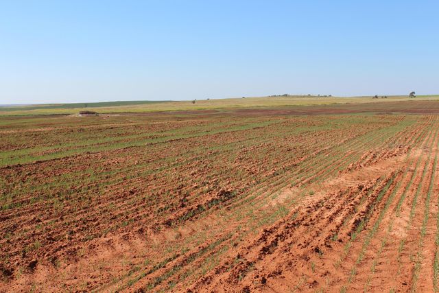 325 acres Childress, Amarillo, TX 79201