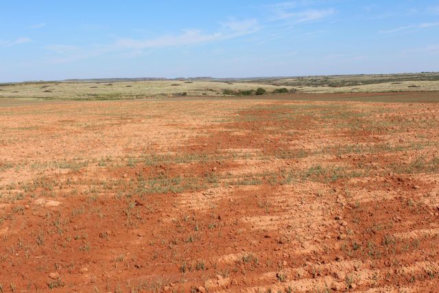 325 acres Childress, Amarillo, TX 79201