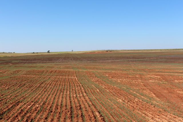 325 acres Childress, Amarillo, TX 79201