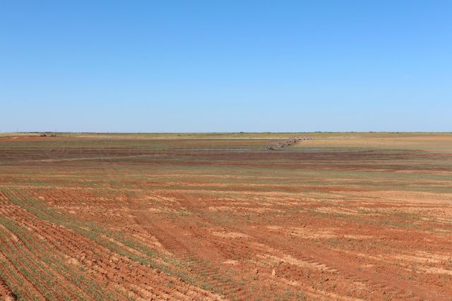 325 acres Childress, Amarillo, TX 79201