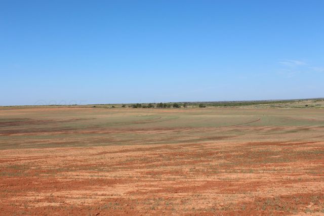325 acres Childress, Amarillo, TX 79201