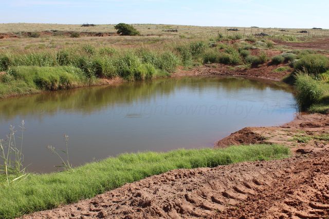 325 acres Childress, Amarillo, TX 79201