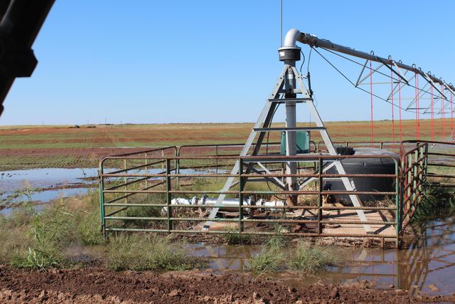 325 acres Childress, Amarillo, TX 79201