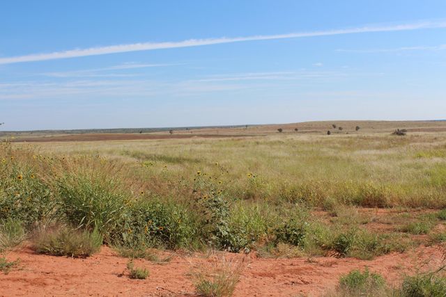 325 acres Childress, Amarillo, TX 79201
