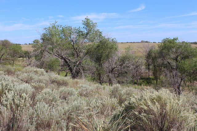 325 acres Childress, Amarillo, TX 79201