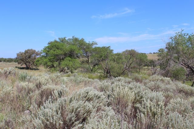325 acres Childress, Amarillo, TX 79201