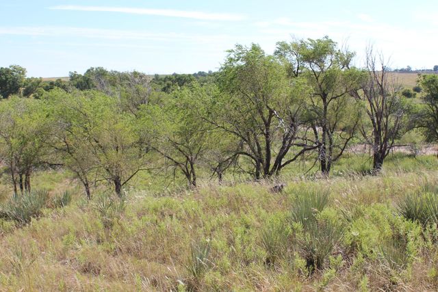 325 acres Childress, Amarillo, TX 79201
