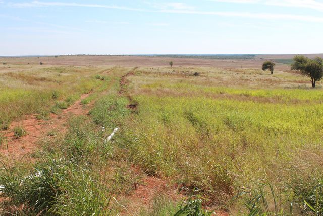 325 acres Childress, Amarillo, TX 79201