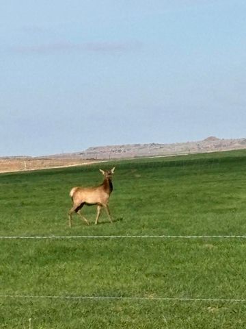 325 acres Childress, Amarillo, TX 79201