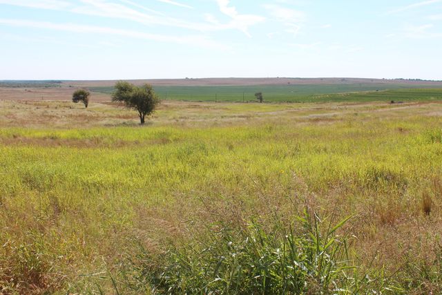325 acres Childress, Amarillo, TX 79201